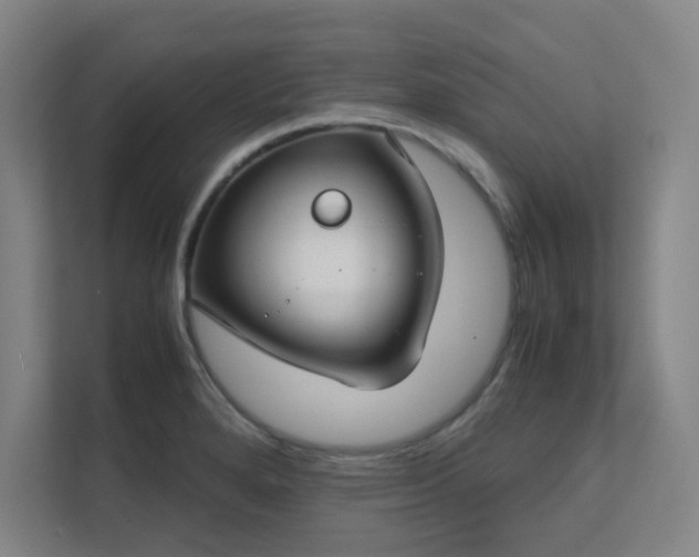 X0000112011280200908101335