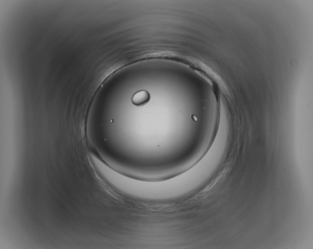 X0000112011281200908101335