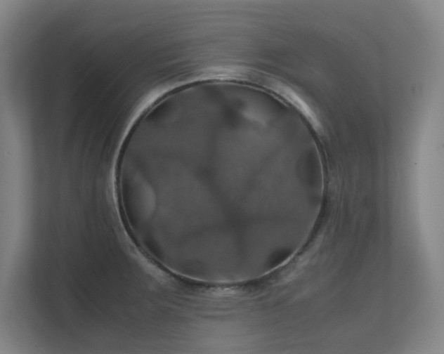 X0000112011283200908101334