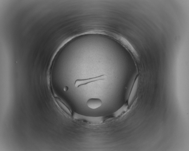 X0000112011284200908101334