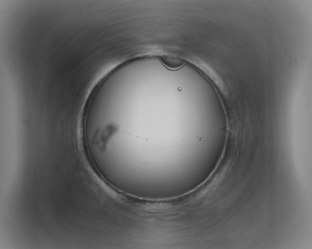 X0000112011285200908101334