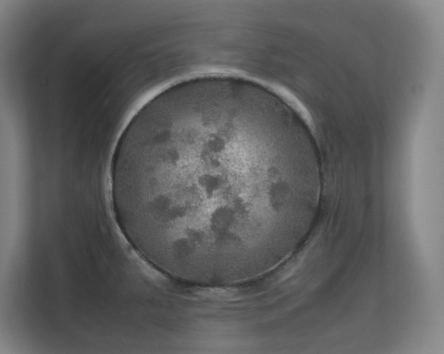 X0000112011287200908101334