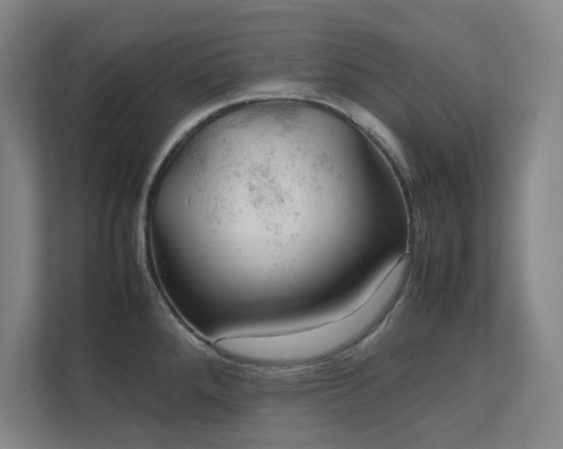 X0000112011288200908101334