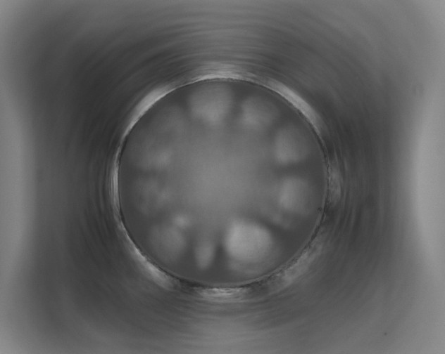 X0000112011290200908101334