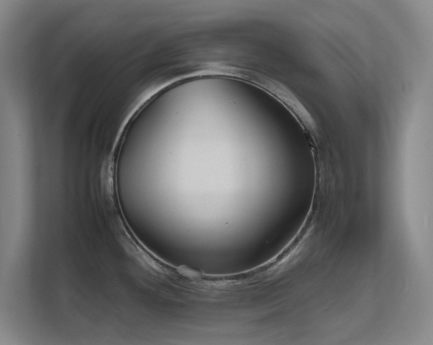 X0000112011292200908101334