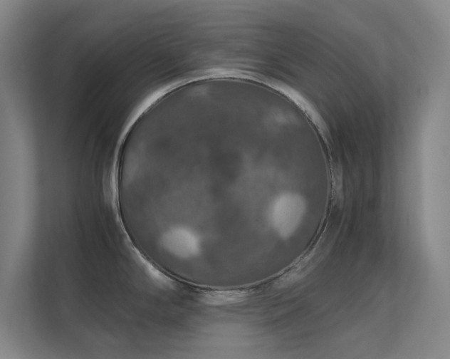 X0000112011294200908101334