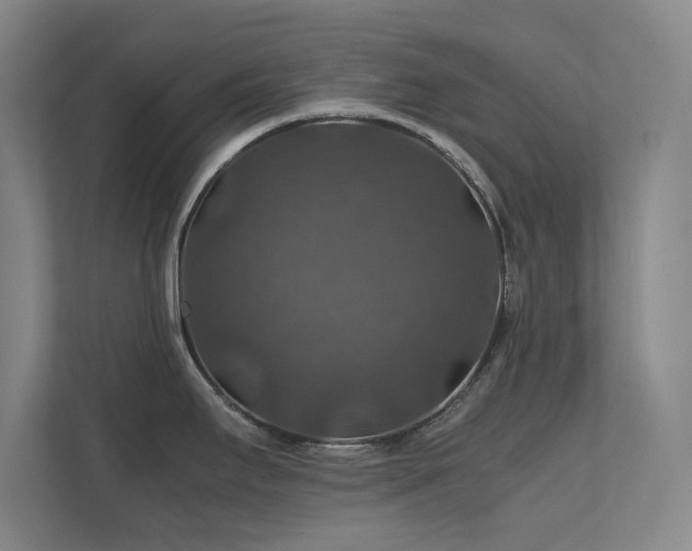 X0000112011295200908101334