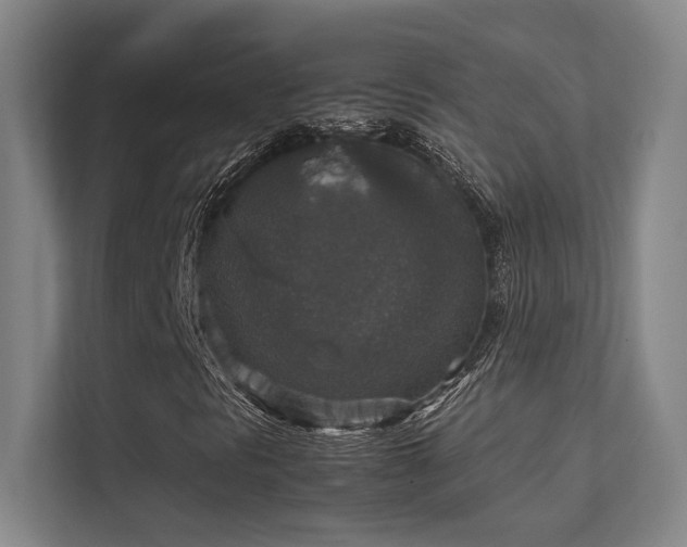 X0000112011297200908101334