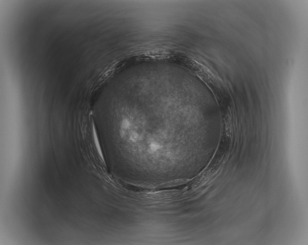 X0000112011298200908101334