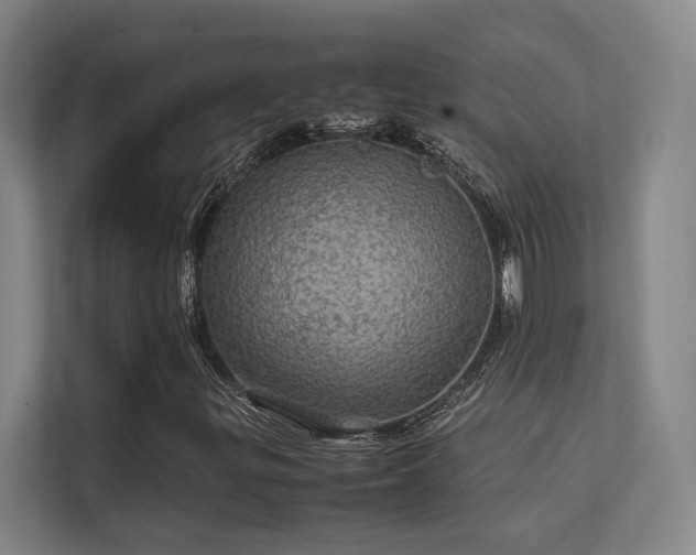 X0000112011299200908101334