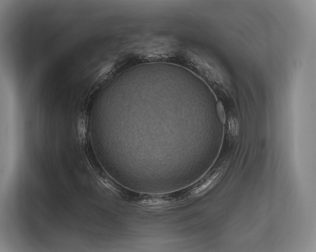 X0000112011300200908101334