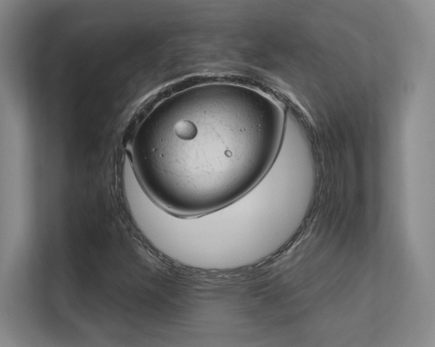 X0000112011304200908101334