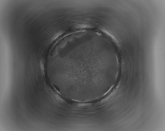 X0000112011305200908101334