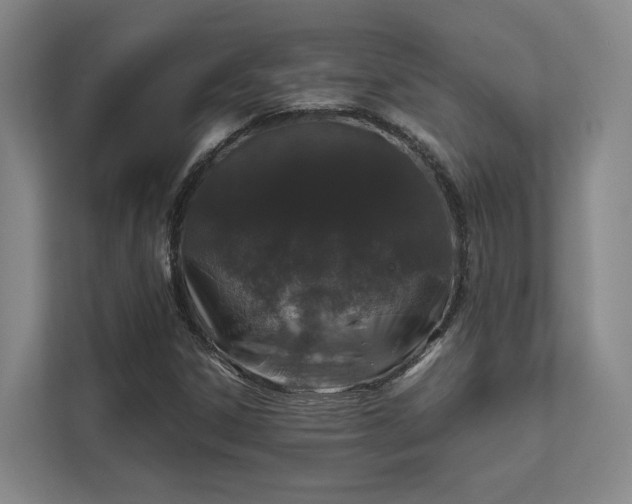 X0000112011306200908101334