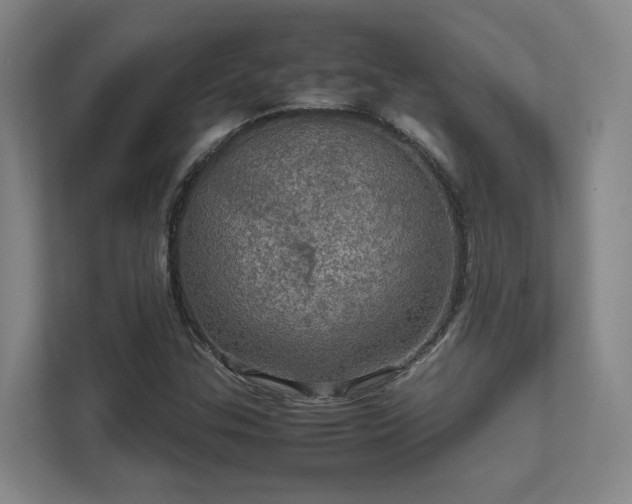 X0000112011307200908101334