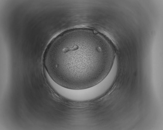 X0000112011308200908101334