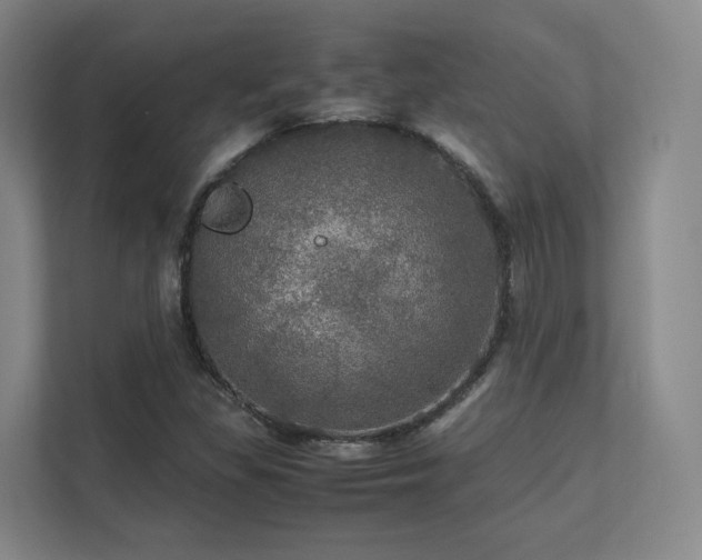 X0000112011309200908101334