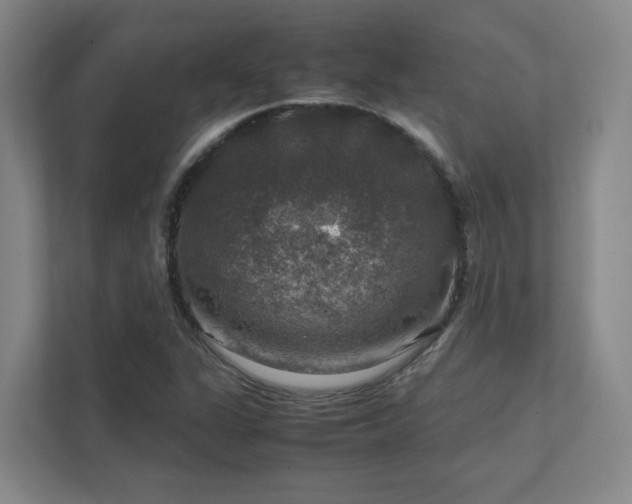 X0000112011311200908101334