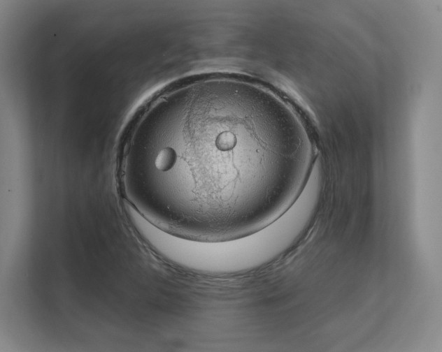 X0000112011312200908101334