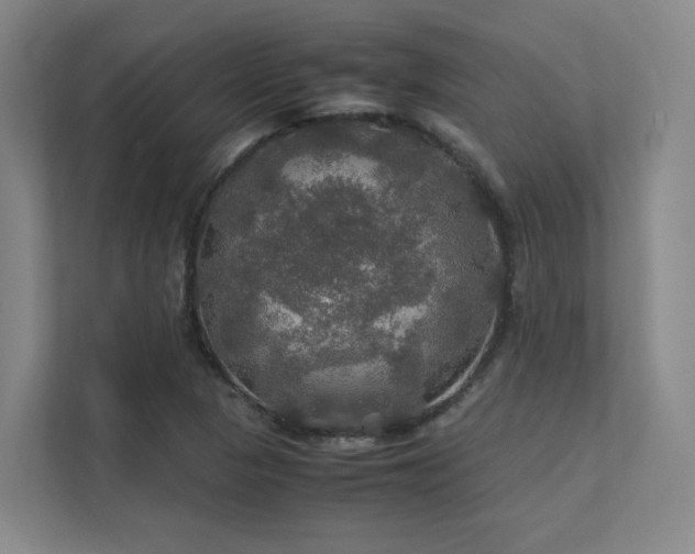 X0000112011313200908101334