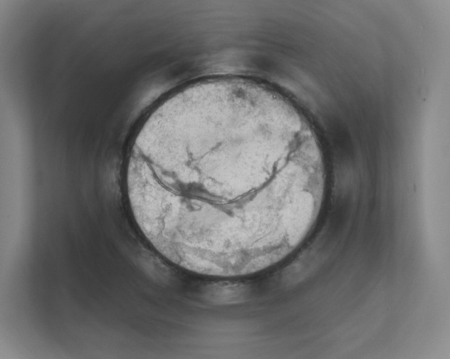 X0000112011314200908101334