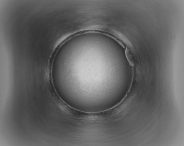 X0000112011316200908101334