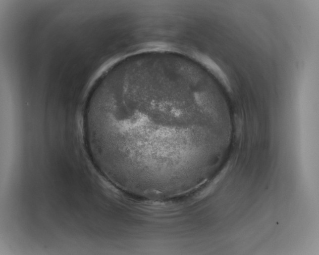 X0000112011318200908101334