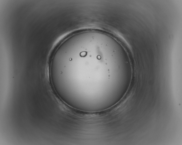 X0000112011320200908101334