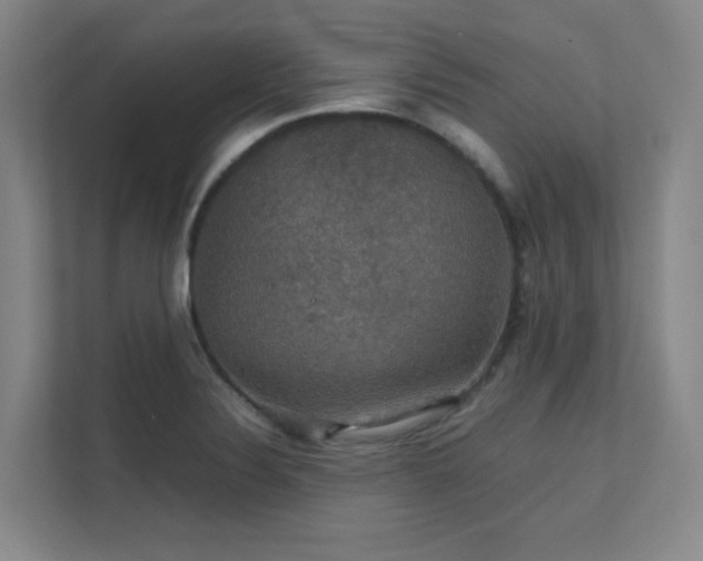 X0000112011324200908101334