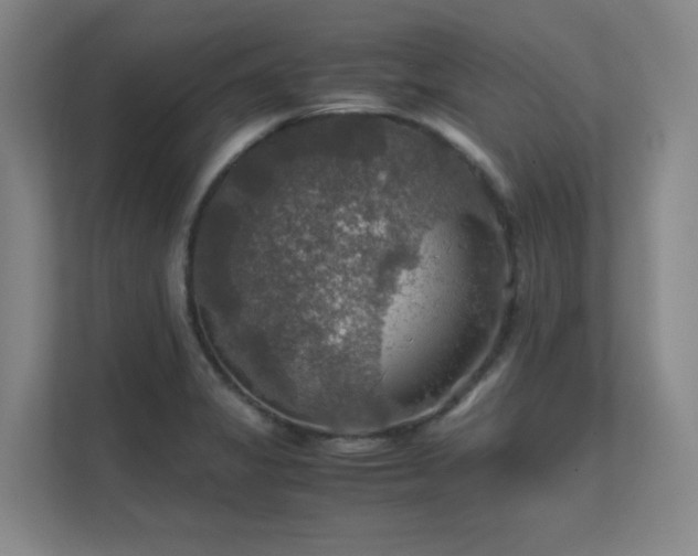 X0000112011325200908101334