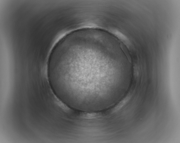 X0000112011326200908101334