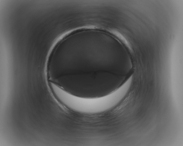 X0000112011327200908101334