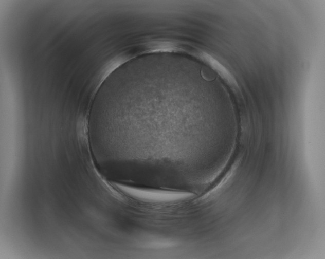 X0000112011329200908101334