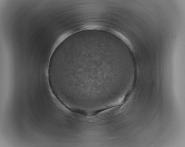 X0000112011330200908101334