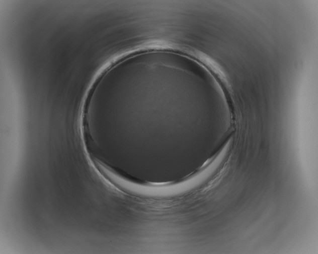 X0000112011334200908101334