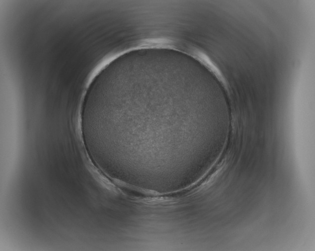 X0000112011336200908101334