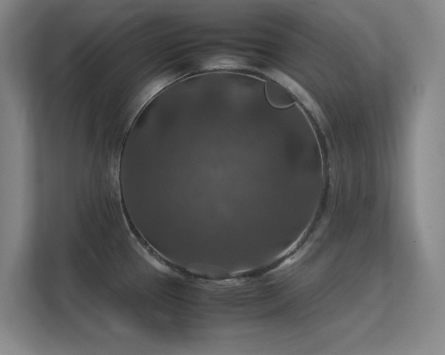 X0000112011337200908101334