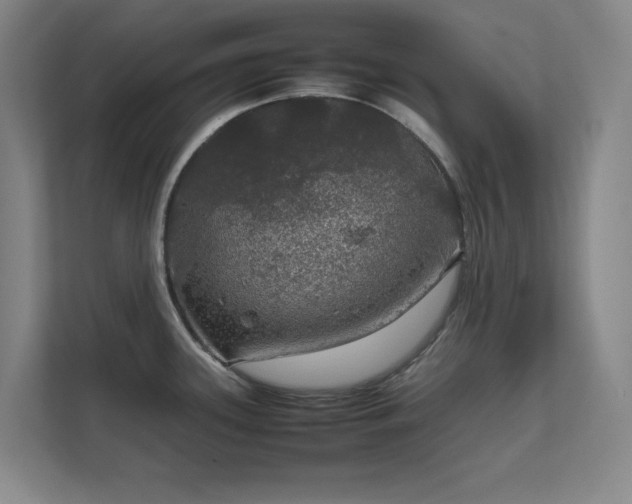 X0000112011339200908101334