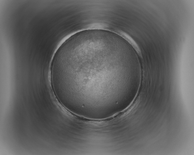 X0000112011340200908101334