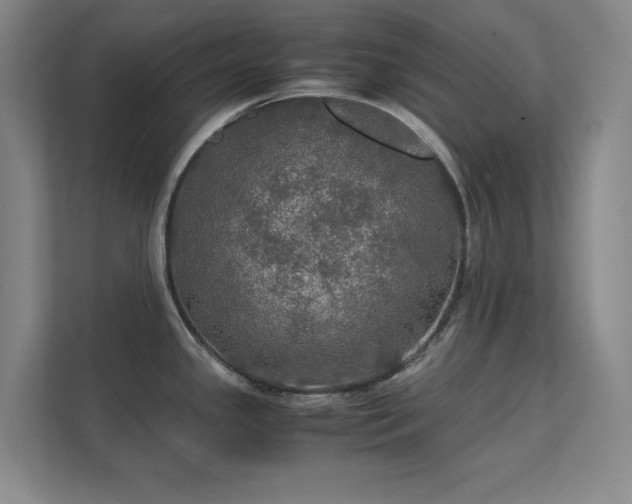 X0000112011341200908101334