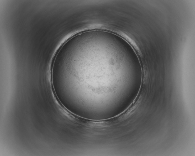 X0000112011342200908101334