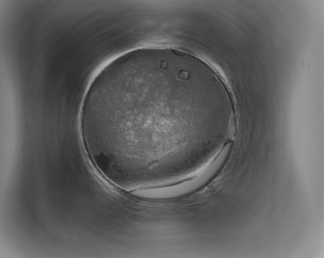 X0000112011344200908101334