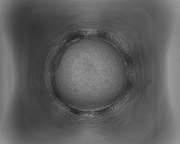 X0000112011345200908101334