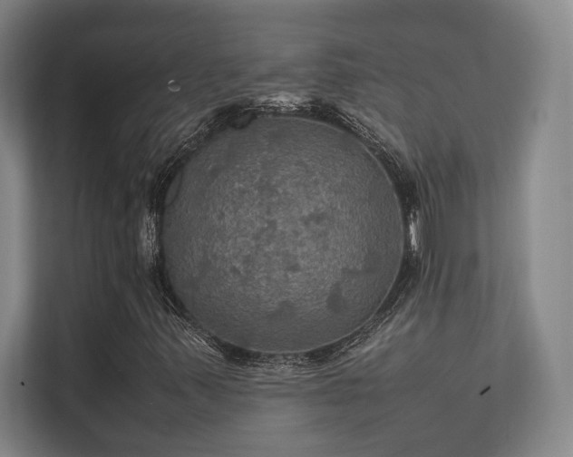 X0000112011347200908101334