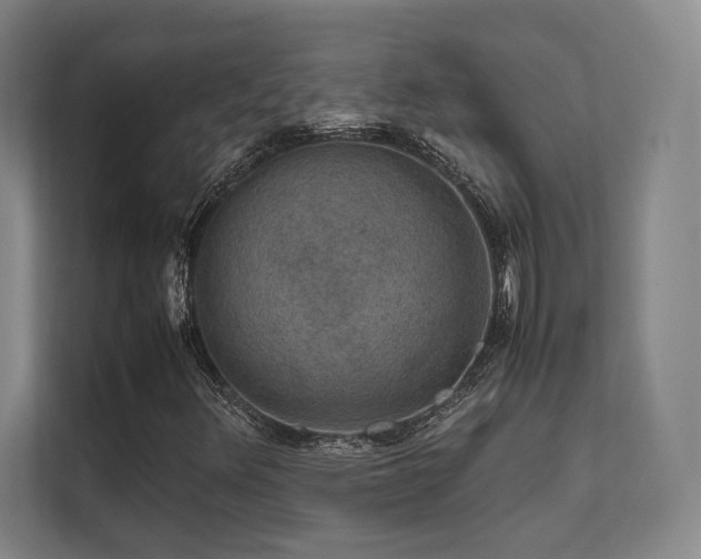 X0000112011348200908101334