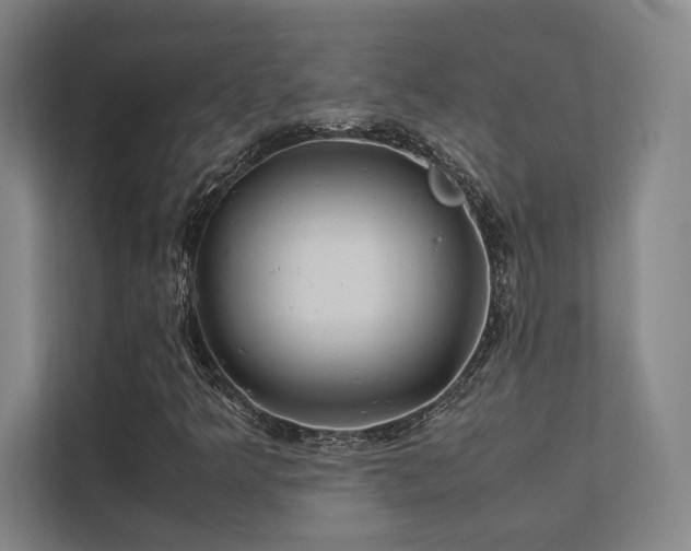 X0000112011349200908101334