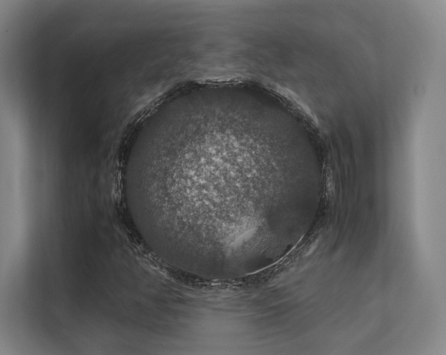 X0000112011350200908101334