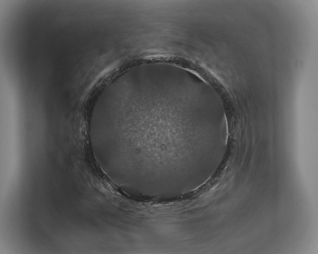 X0000112011351200908101334