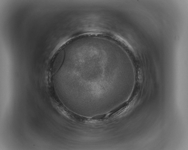 X0000112011352200908101334