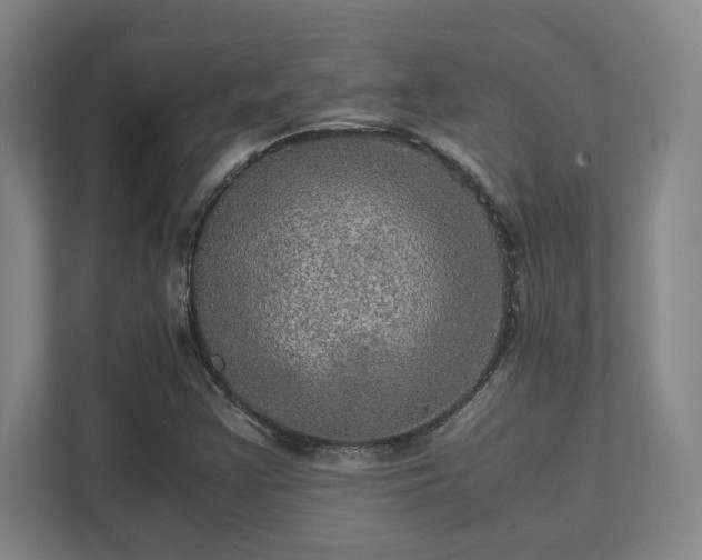 X0000112011355200908101334